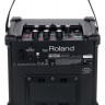 ROLAND CUBE-10GX гитарный комбоусилитель