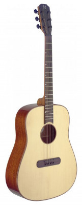 JAMES NELIGAN LIS-D акустическая гитара