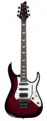 SCHECTER BANSHEE-6 FR EXTREME BCHB электрогитара