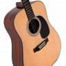 Акустическая гитара Sigma DM-1