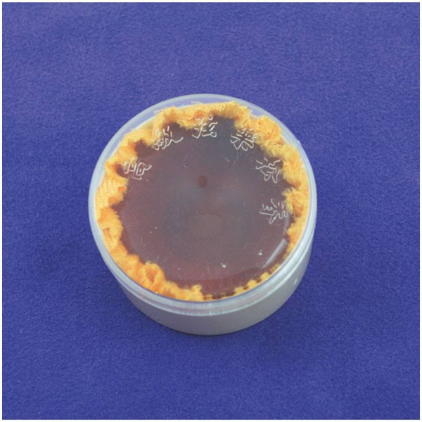 Канифоль универсальная ALICE A013-2