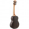 Укулеле концерт FLIGHT NWC-660 EBONY New Wave, в комплекте чехол, буклет, стикеры