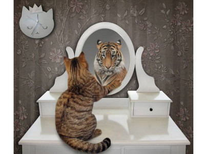 Картина по номерам 40х50 Отражение (24 цвета)