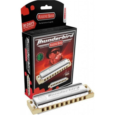 Hohner Marine Band Thunderbird Low Bb (M201174X) диатоническая губная гармошка