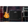 Комбоусилитель PEAVEY VYPYR VIP X2, 60 Вт