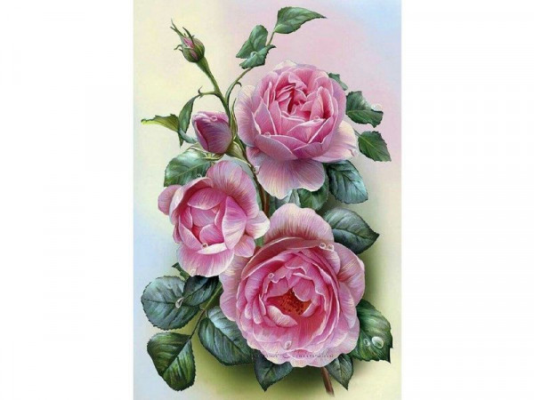 Набор юного художника 20х30 РОЗОВЫЕ РОЗЫ  (15 цветов)