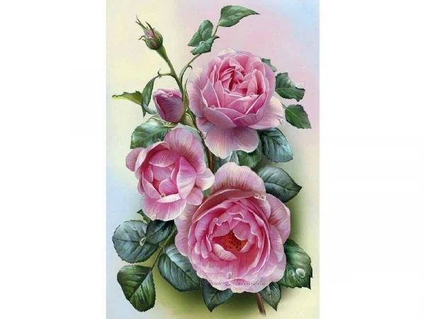 Набор юного художника 20х30 РОЗОВЫЕ РОЗЫ  (15 цветов)