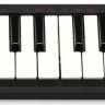 AKAI PRO LPK25, портативная USB/MIDI-клавиатура, 25 чувствительных мини-клавиш, арпеджиатор, кнопка сустейна, питание по USB