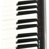 AKAI PRO LPK25, портативная USB/MIDI-клавиатура, 25 чувствительных мини-клавиш, арпеджиатор, кнопка сустейна, питание по USB