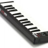 AKAI PRO LPK25, портативная USB/MIDI-клавиатура, 25 чувствительных мини-клавиш, арпеджиатор, кнопка сустейна, питание по USB