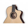 FURCH GNc4-SR + EAS-VTC Nylon электроакустическая гитара
