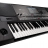 KORG Pa600, профессиональная аранжировочная станция