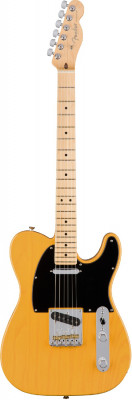 Fender AM PRO TELE MN BTB (ASH) электрогитара