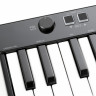 IK MULTIMEDIA iRig Keys 25 USB MIDI-клавиатура для Mac и PC, 25 клавиш