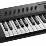 NATIVE INSTRUMENTS KOMPLETE KONTROL A25