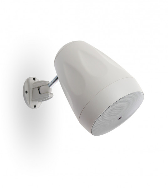 Акустическая система AuraSonics FLORET-5T-WH настенная/подвесная Акустическая система AuraSonics FLORET-5T-WH настенная/подвесная