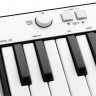 IK MULTIMEDIA iRig Keys Mini MIDI-клавиатура для iOS, Android, Mac и PC, 25 клавиш